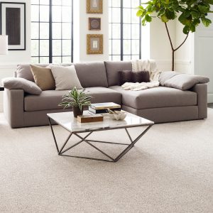 Living room flooring | Ron's Carpet & Design