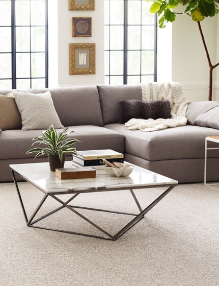 Living room Carpet | Ron's Carpet & Design