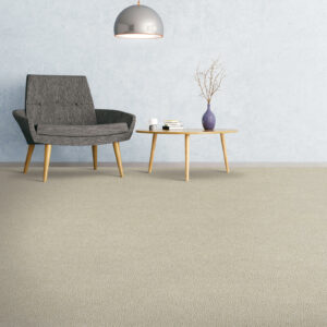 Soft comfortable carpet | Ron's Carpet & Design
