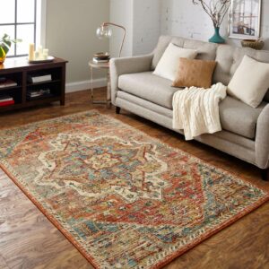 Area rug for living room | Ron's Carpet & Design