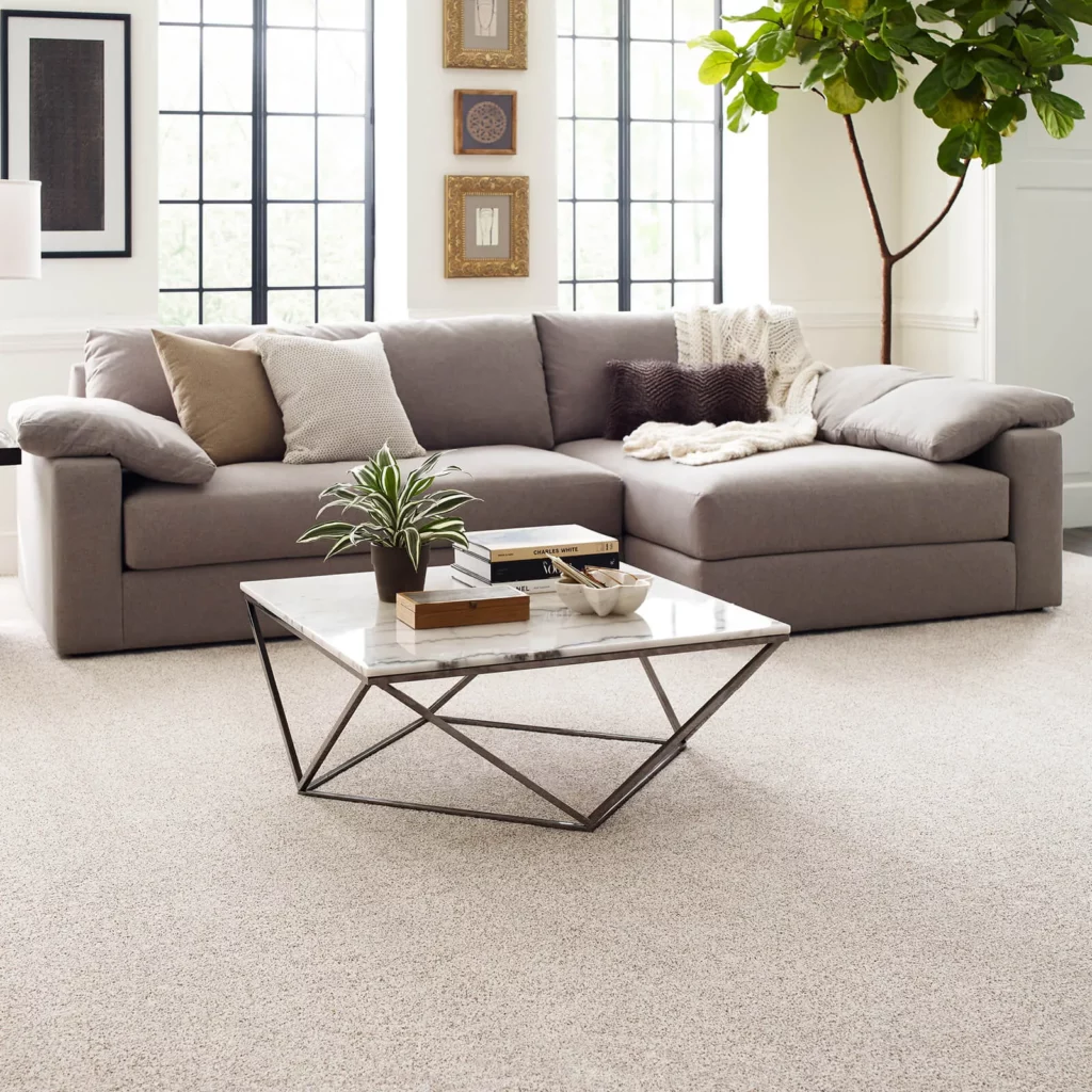 Living room carpet | Ron's Carpet & Design