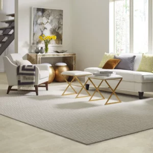 Area rug | Ron's Carpet & Design